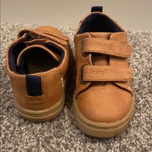 Toddler Boys Toms Sneakers